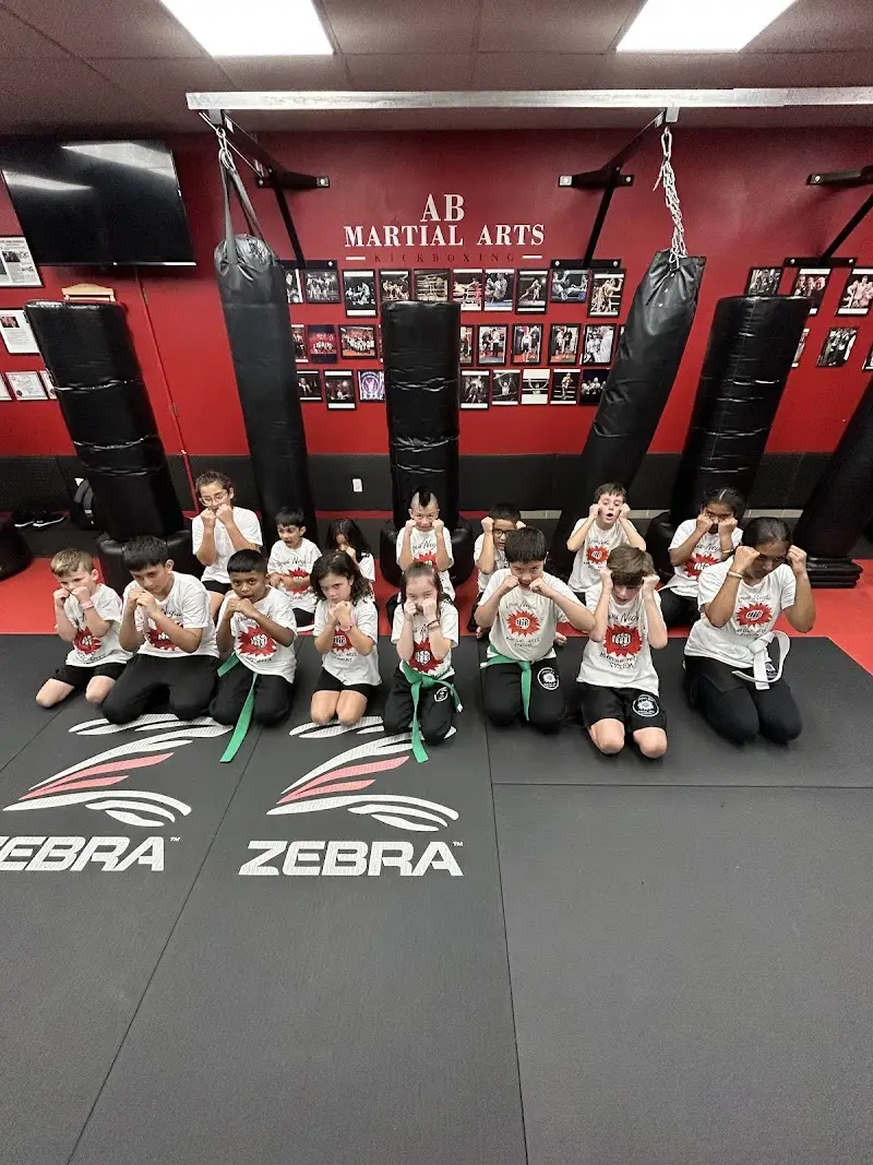 AB Martial Arts Academy BJJ Academy - photo 1