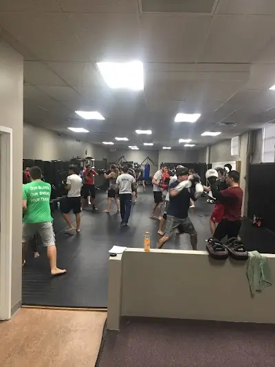 Absolute Martial Arts BJJ Academy - photo 2