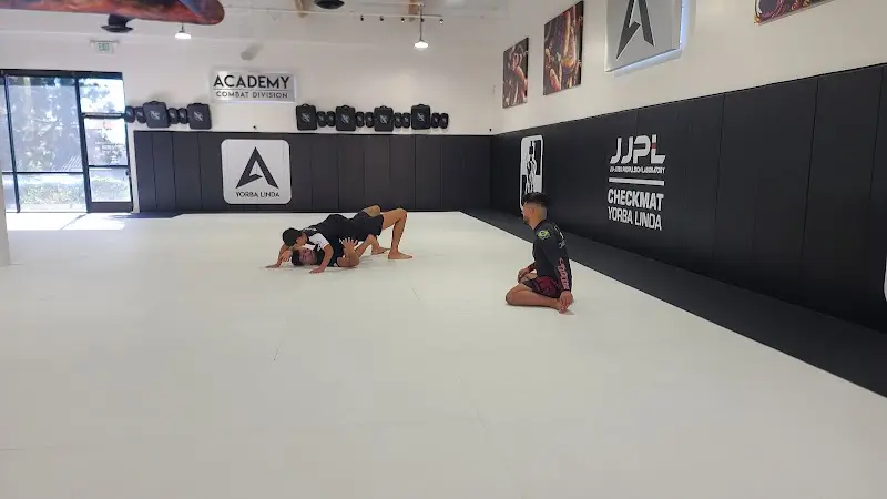 Academy Jiu-Jitsu & Kickboxing | Checkmat Yorba Linda BJJ Academy - photo 2