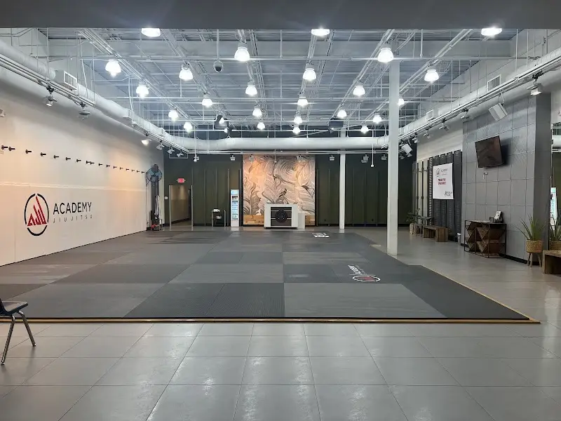 Academy Jiu Jitsu BJJ Academy - photo 1
