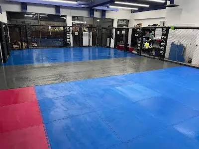Academy Martial Arts Team360mma BJJ Academy - photo 1