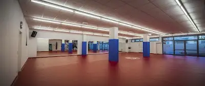 Academy of Martial Arts | Freiberg