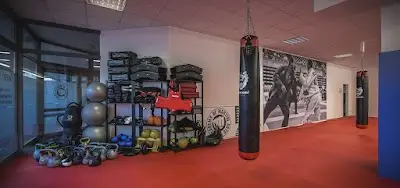Academy of Martial Arts | Freiberg BJJ Academy - photo 3
