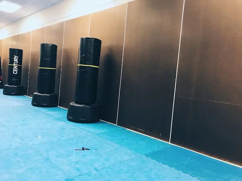 Academy of Martial Arts & Fitness BJJ Academy - photo 1