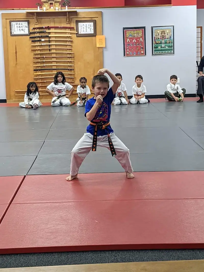 Academy Of Martial Arts