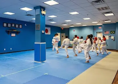 Academy of Martial Arts BJJ Academy - photo 1