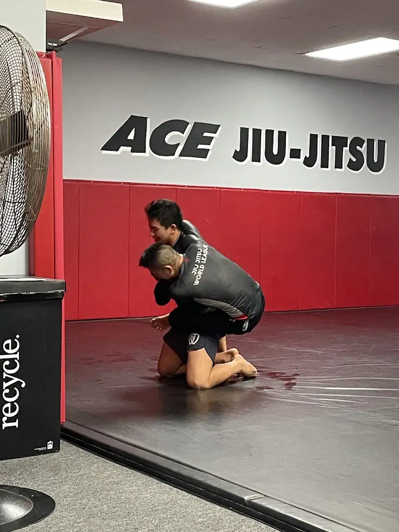 Ace Jiu Jitsu LLC BJJ Academy - photo 2