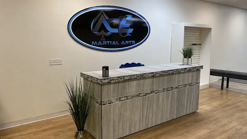 Ace Martial Arts #2 (Sunset Blvd. Location) BJJ Academy - photo 1