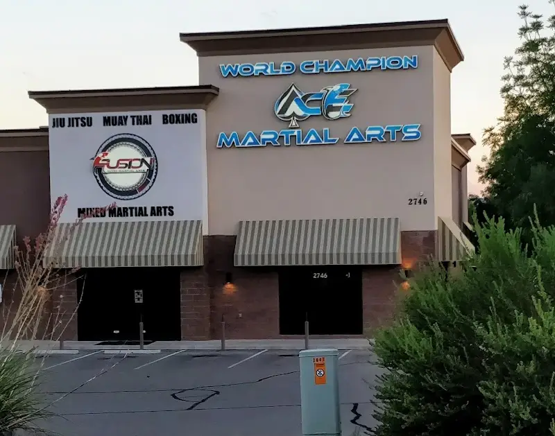 Ace Martial Arts BJJ Academy - photo 1