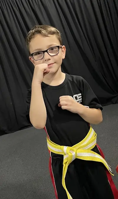Ace Martial Arts BJJ Academy - photo 3