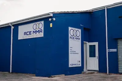 ACE MMA Elite Training Centre