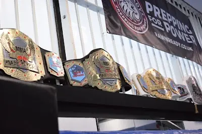 ACE MMA Elite Training Centre BJJ Academy - photo 1