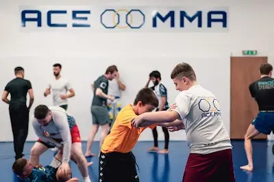 ACE MMA Elite Training Centre BJJ Academy - photo 2