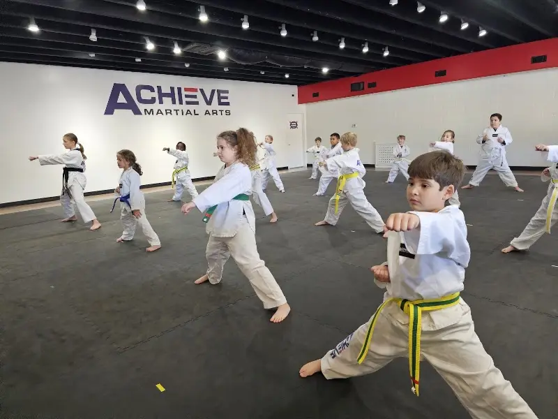Achieve Martial Arts