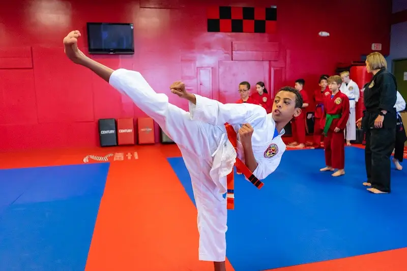 Action Martial Arts & Fitness BJJ Academy - photo 2