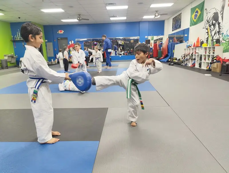 ACTION Martial Arts | Tae Kwon Do | Jiu Jitsu | After School Program