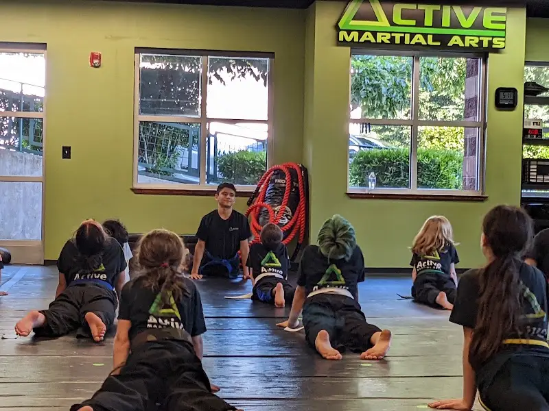 Active Martial Arts BJJ Academy - photo 1