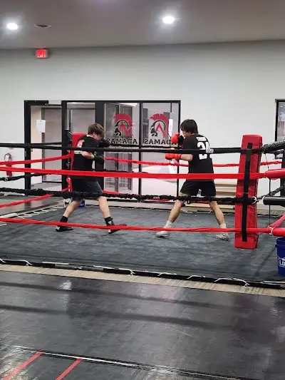 Adamas MMA & Boxing