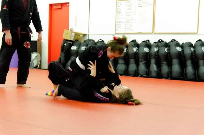 Adrenaline Training Center BJJ Academy - photo 1