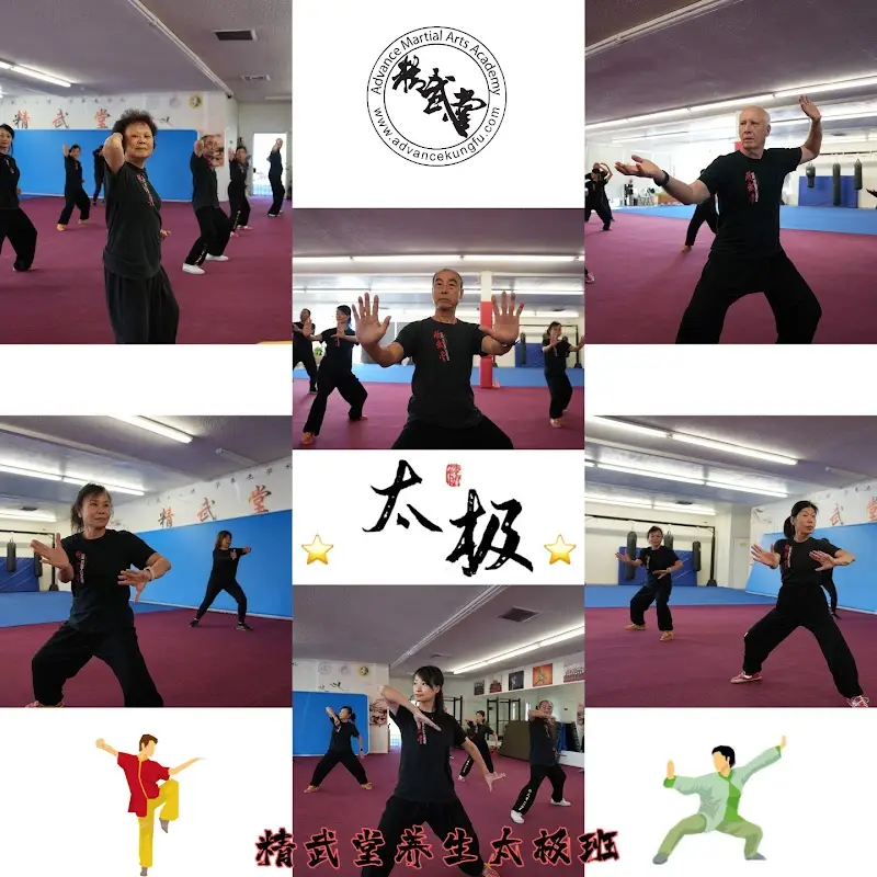 Advance Martial Arts BJJ Academy - photo 1