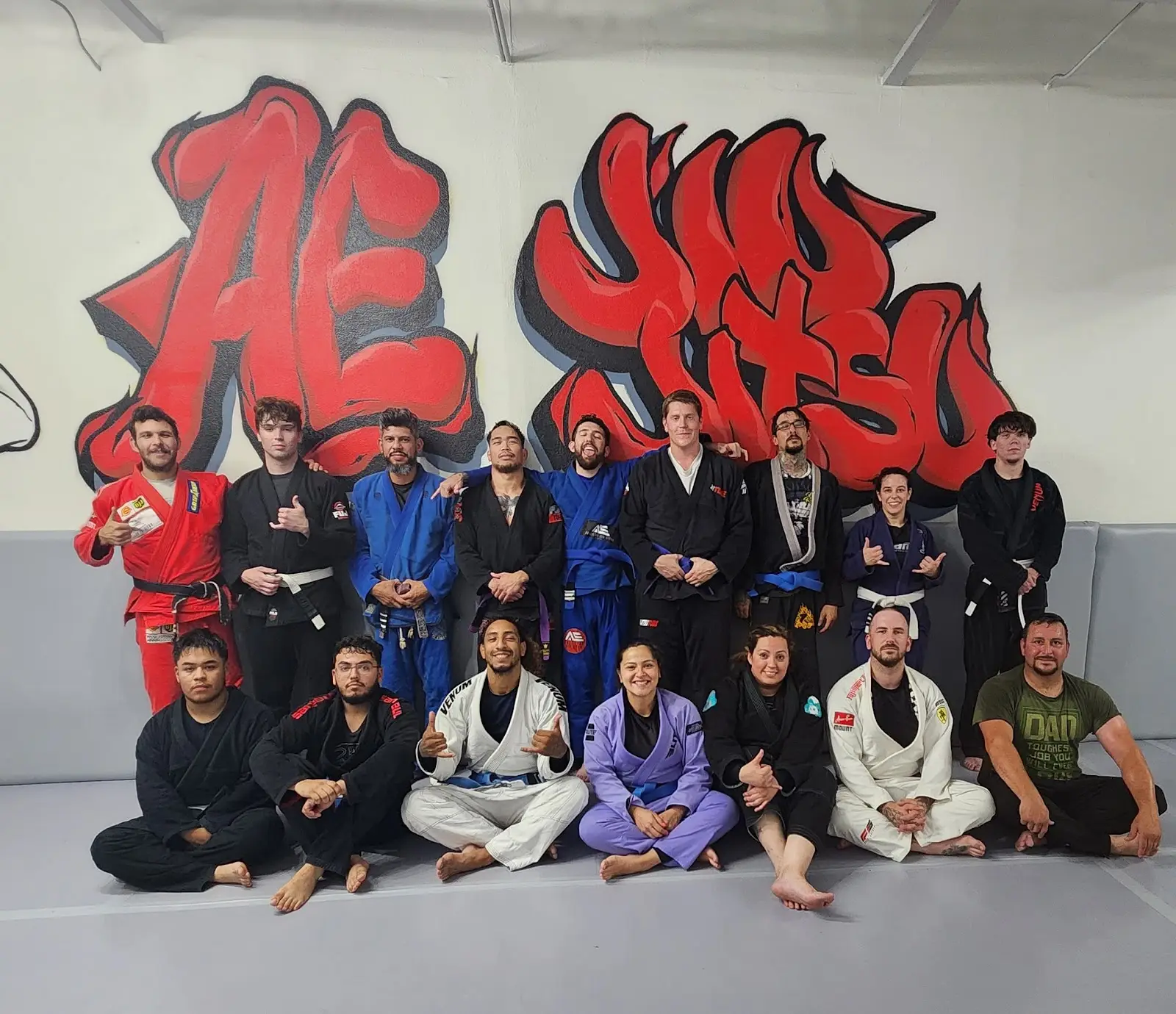AE Brazilian Jiu Jitsu BJJ Academy - photo 2
