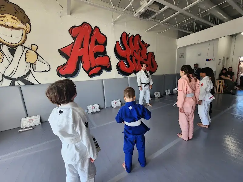 AE Brazilian Jiu Jitsu BJJ Academy - photo 1