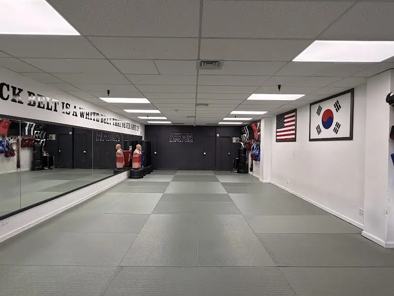 Aeon Martial Arts - Flushing BJJ Academy - photo 1