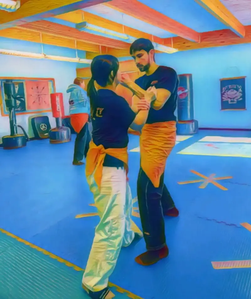 Affinity Martial Arts BJJ Academy - photo 2