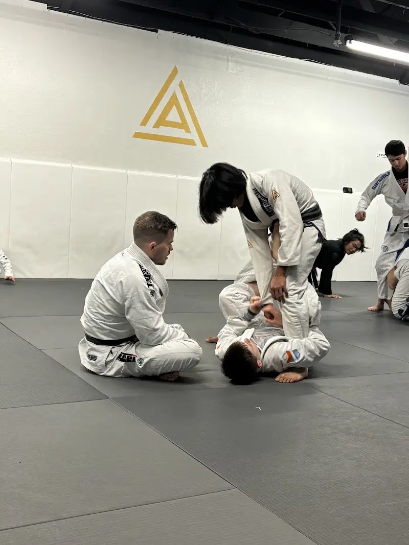 Aftermath Brazilian Jiu-Jitsu