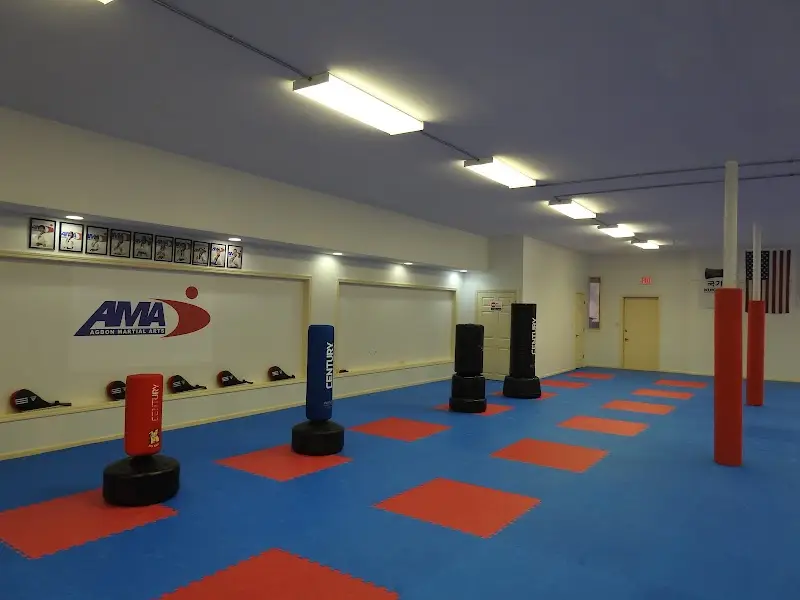 Agbon Martial Arts BJJ Academy - photo 1