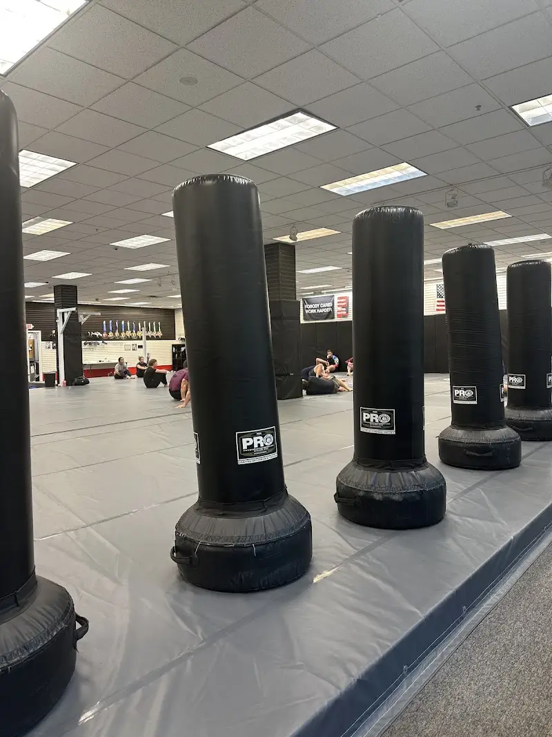 Agema Jiu Jitsu and MMA BJJ Academy - photo 2