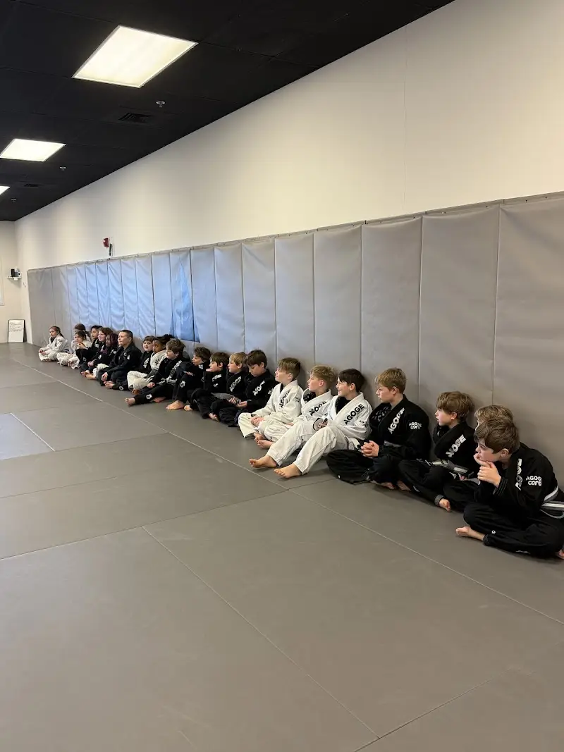 Agoge Brazilian Jiu-Jitsu Culpeper BJJ Academy - photo 1
