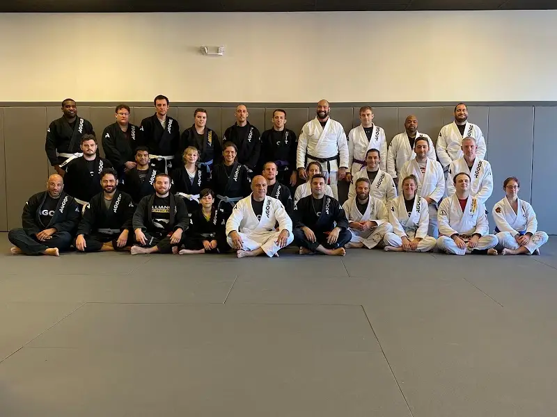 Agoge Brazilian Jiu Jitsu BJJ Academy - photo 1