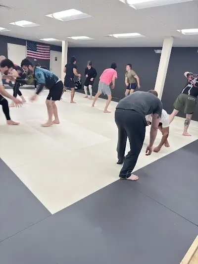 Agoge Jiu Jitsu BJJ Academy - photo 1