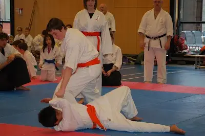 Aiki Canada Martial Arts