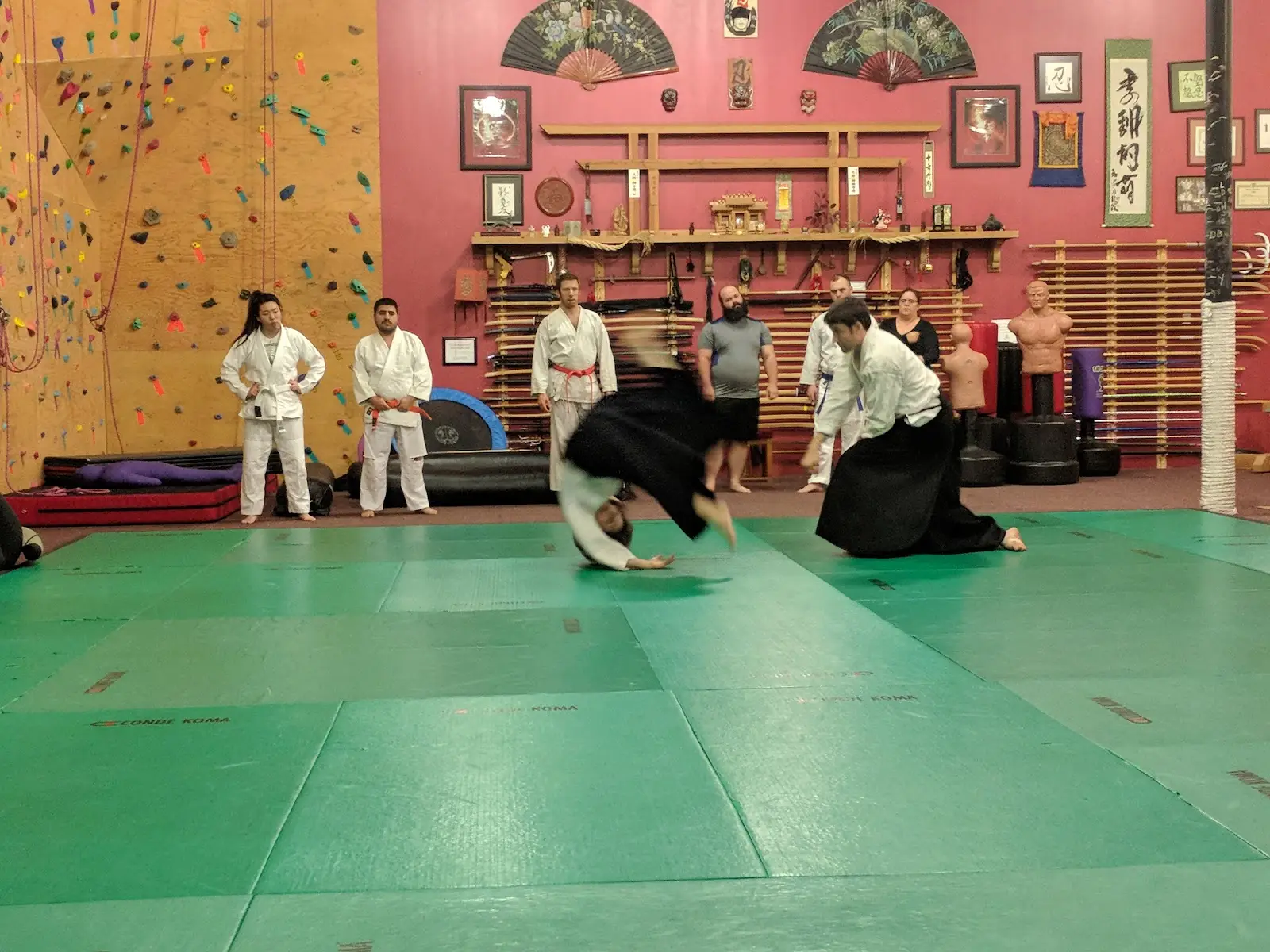 Aikido Kokikai OC