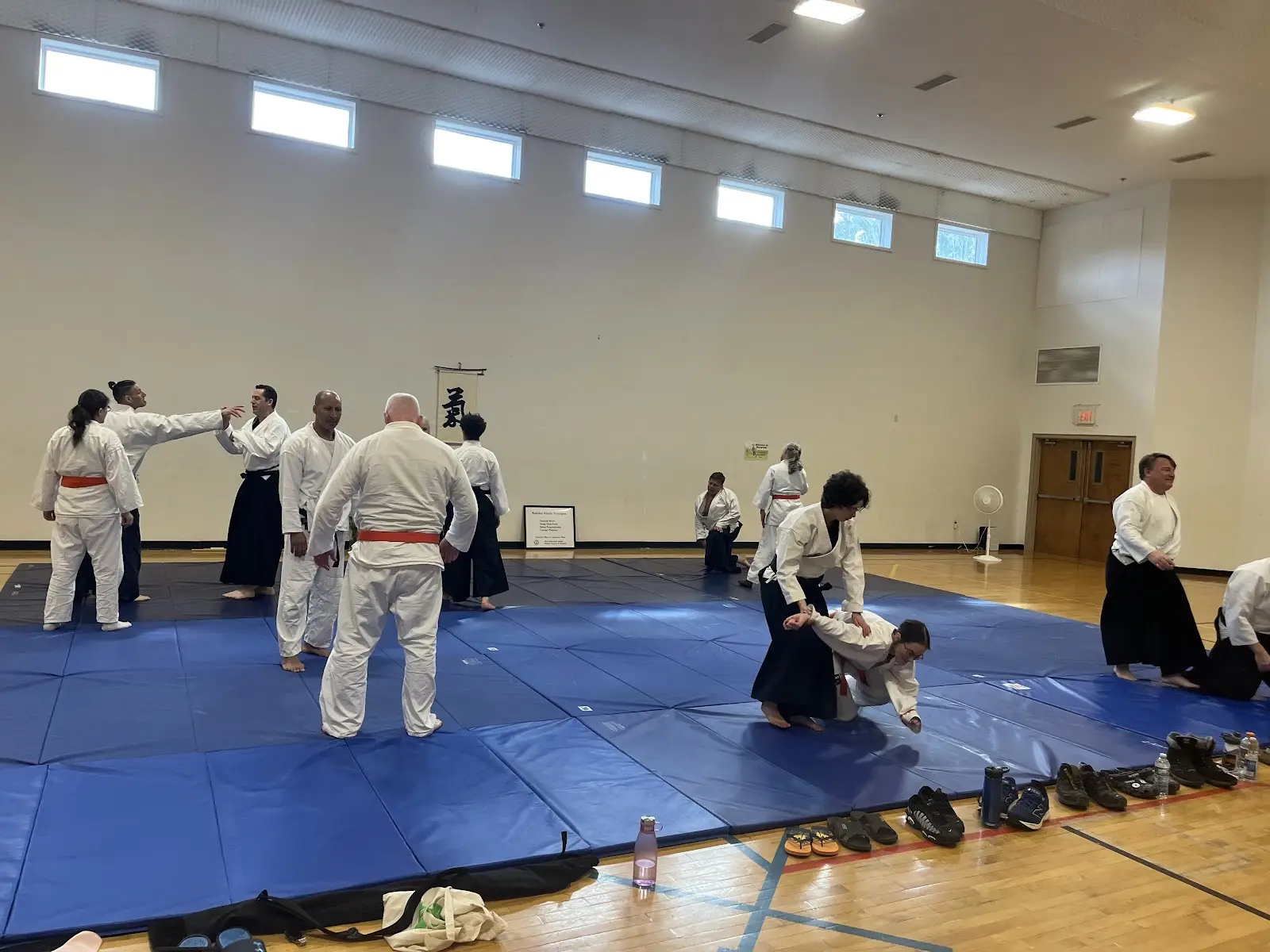 Aikido Kokikai