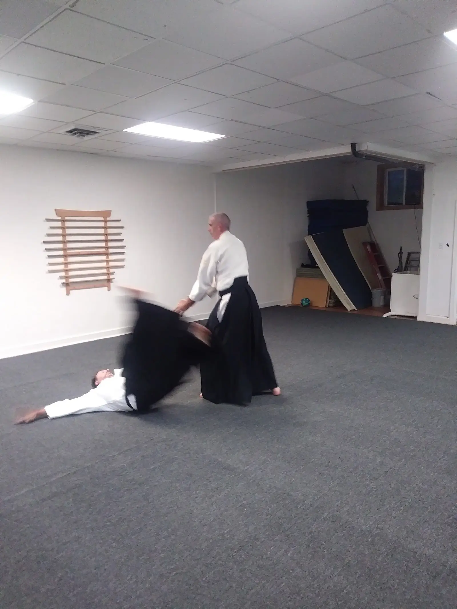 Aikido Seikikai