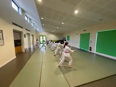 Aikido Shoshinkan (Derby Dojo) BJJ Academy - photo 2