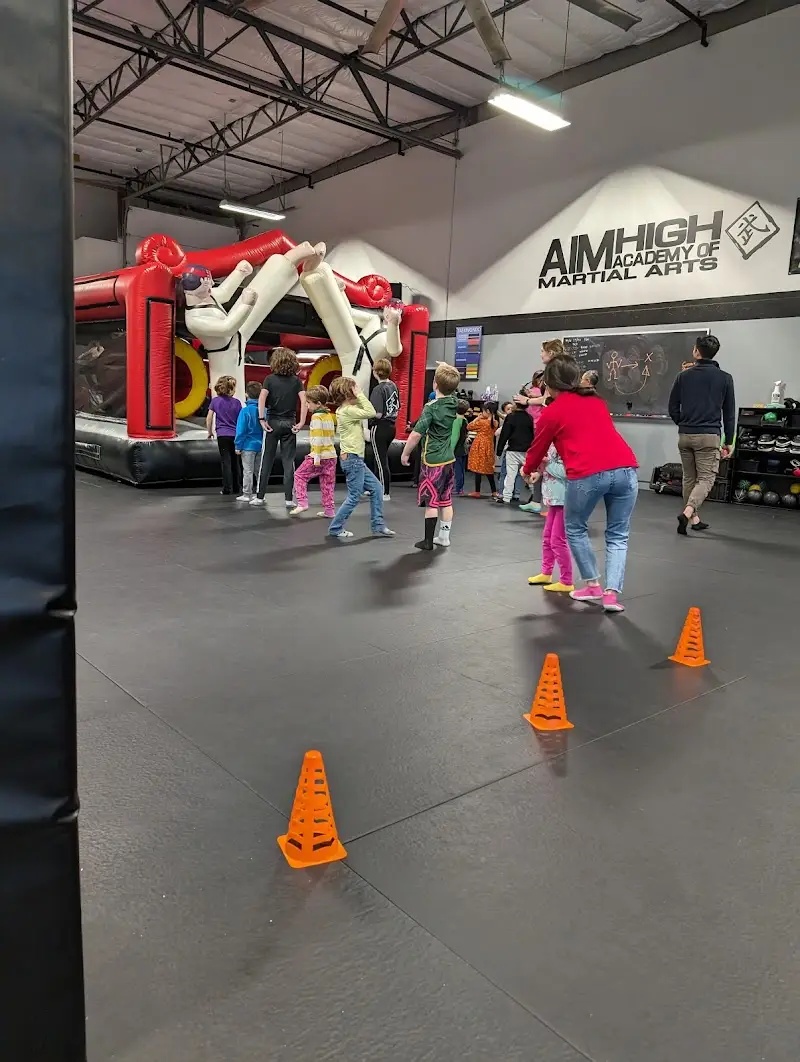Aim High Academy Of Martial Arts BJJ Academy - photo 1