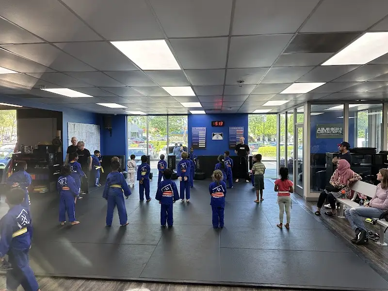 Aim High Academy Of Martial Arts BJJ Academy - photo 2