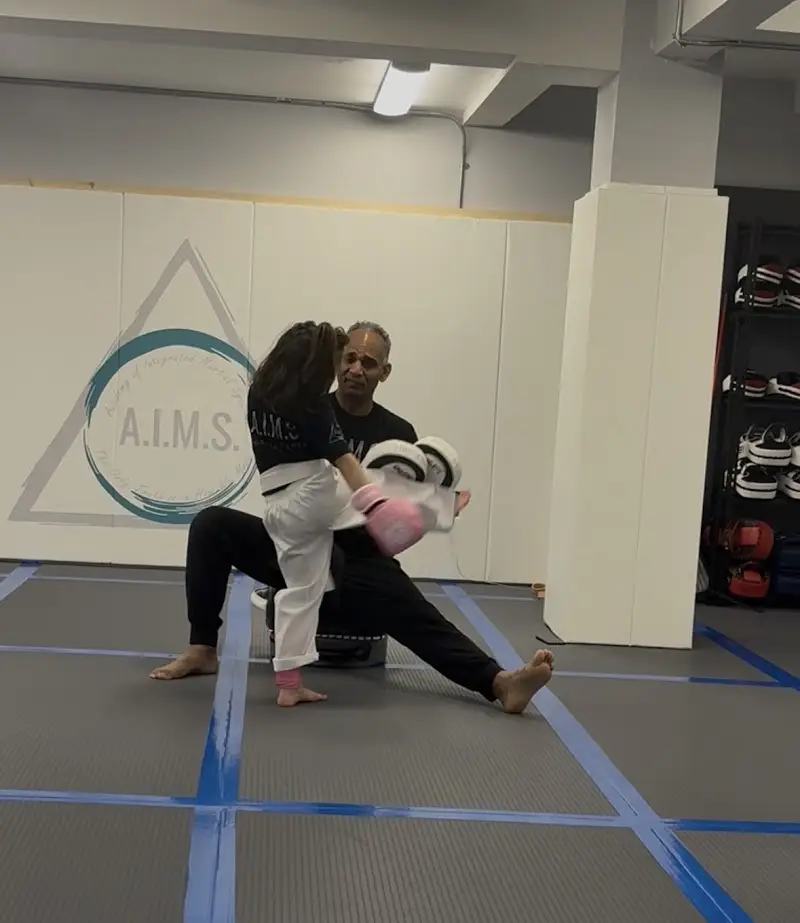 AIMS Martial Arts BJJ Academy - photo 1