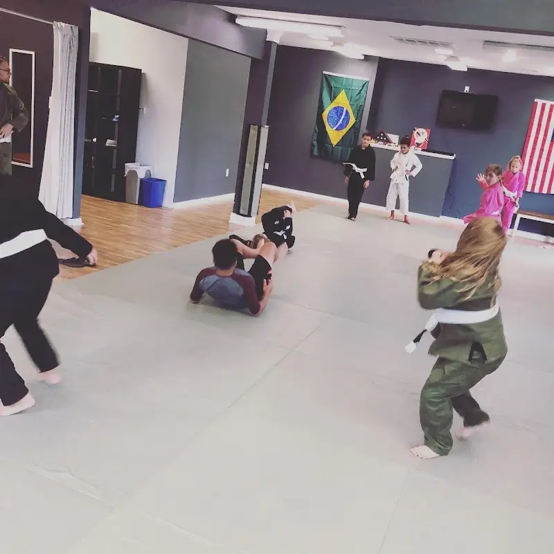 Akashic Jiu Jitsu