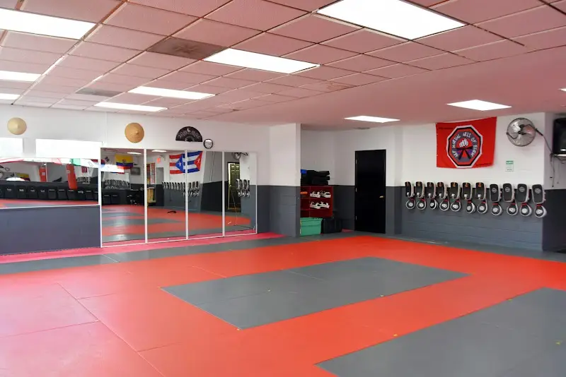AKF MARTIAL ARTS OF ELGIN BJJ Academy - photo 1