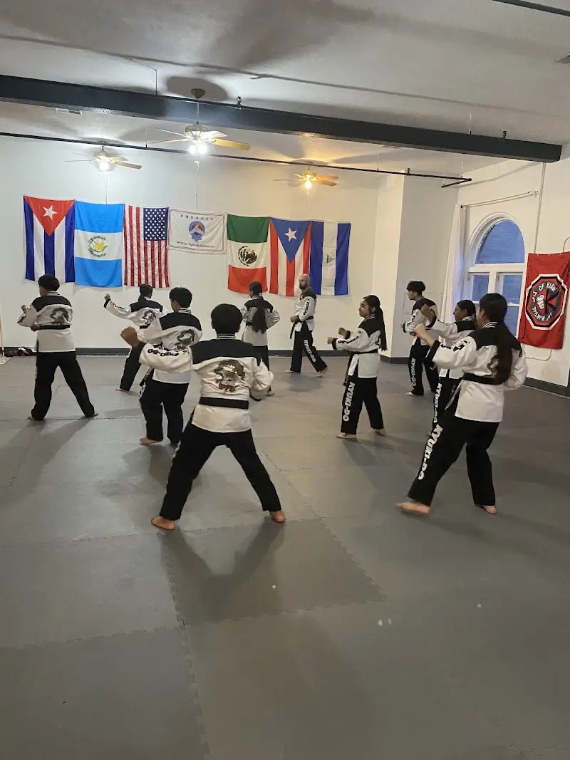 AKF MARTIAL ARTS OF ELGIN BJJ Academy - photo 2
