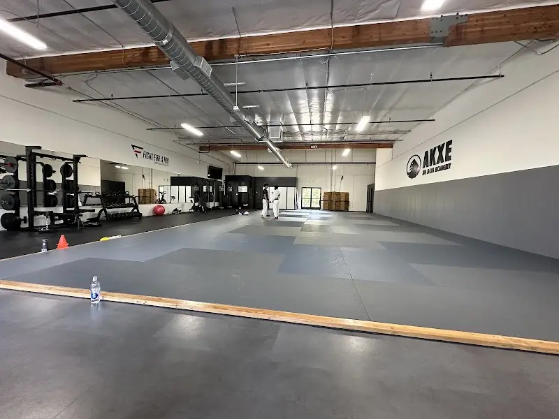 Akxe Jiu Jitsu Academy BJJ Academy - photo 1