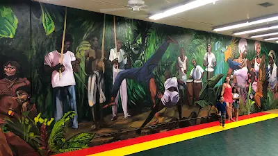 Alafia Capoeira