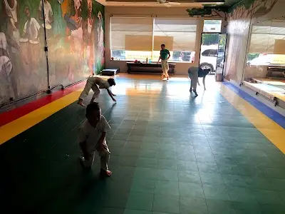 Alafia Capoeira BJJ Academy - photo 2