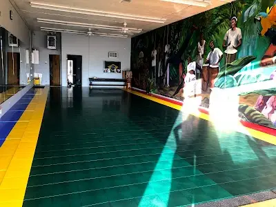 Alafia Capoeira BJJ Academy - photo 4