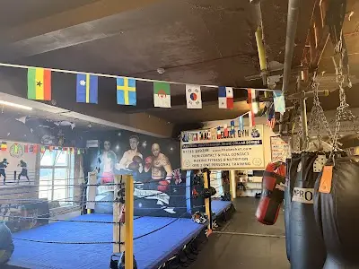 Albion Boxing Club BJJ Academy - photo 1